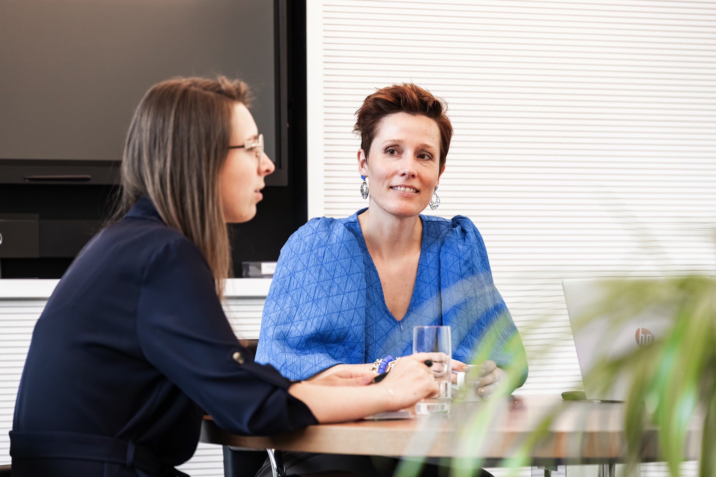 Mentorprogramma